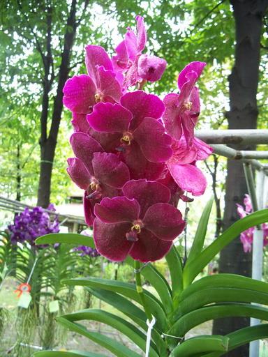 104_7347.jpg